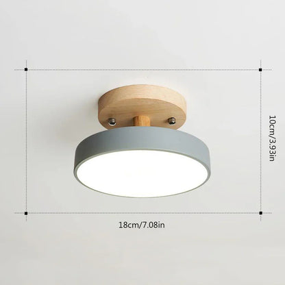 Bright LED Ceiling Chandelier Light Fixture