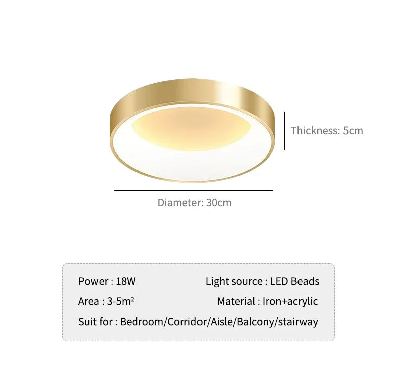 Stylish LED Flush Mount Ceiling Lamp