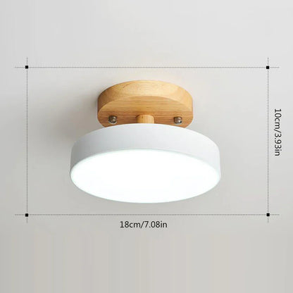 Bright LED Ceiling Chandelier Light Fixture