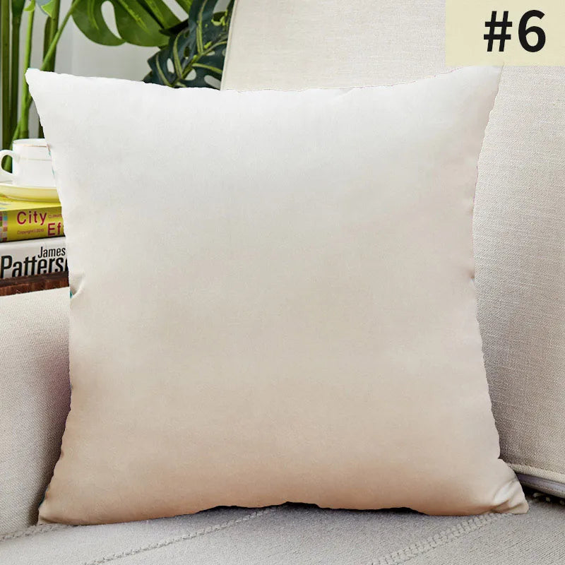 Soft Plush Pillow Cover for Home Decor