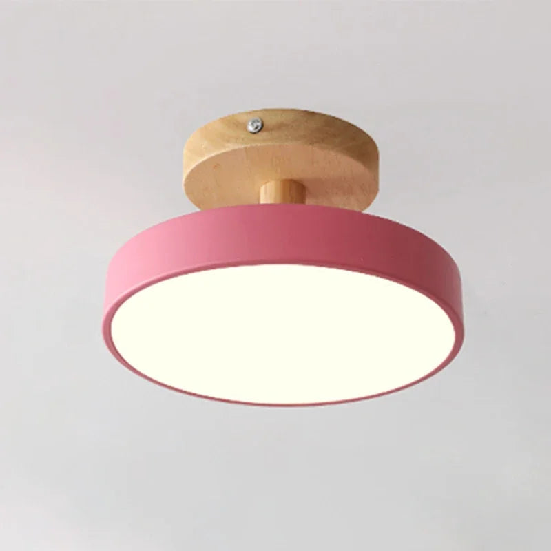 Elegant LED Ceiling Light Fixture