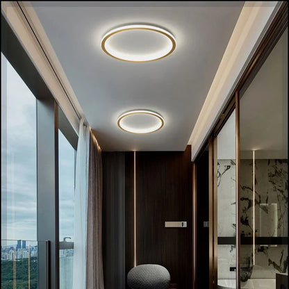 Stylish LED Ceiling Lamp Home Lighting