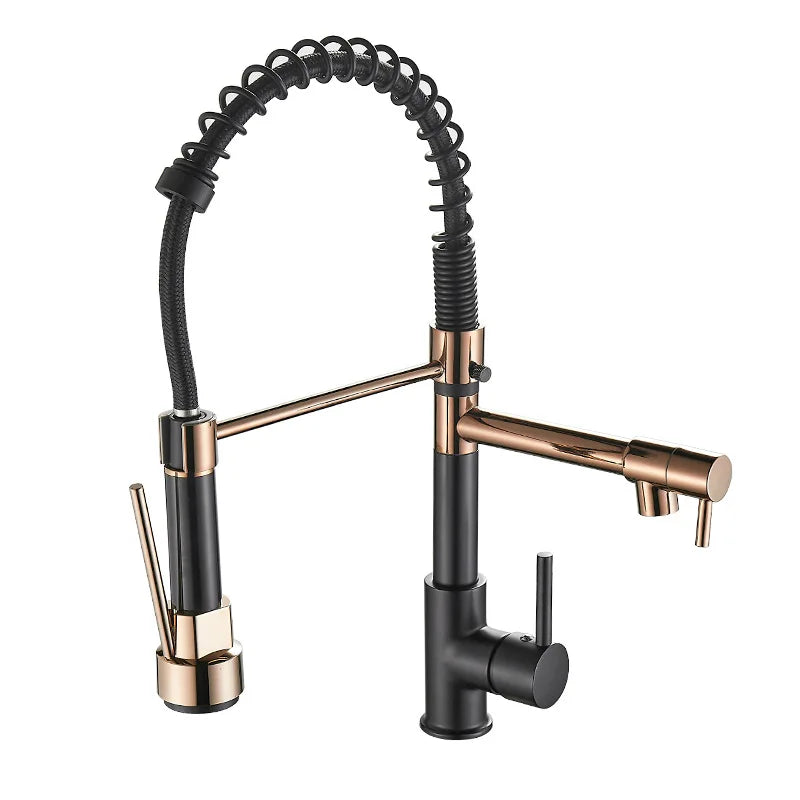 Premium Double Handle Kitchen Faucet