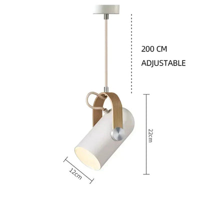 Stylish Adjustable Metal Pendant Lamp