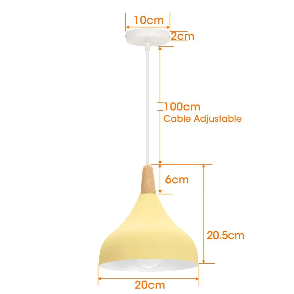 Vintage Metal Drop Ceiling Light