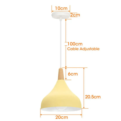 Vintage Metal Drop Ceiling Light