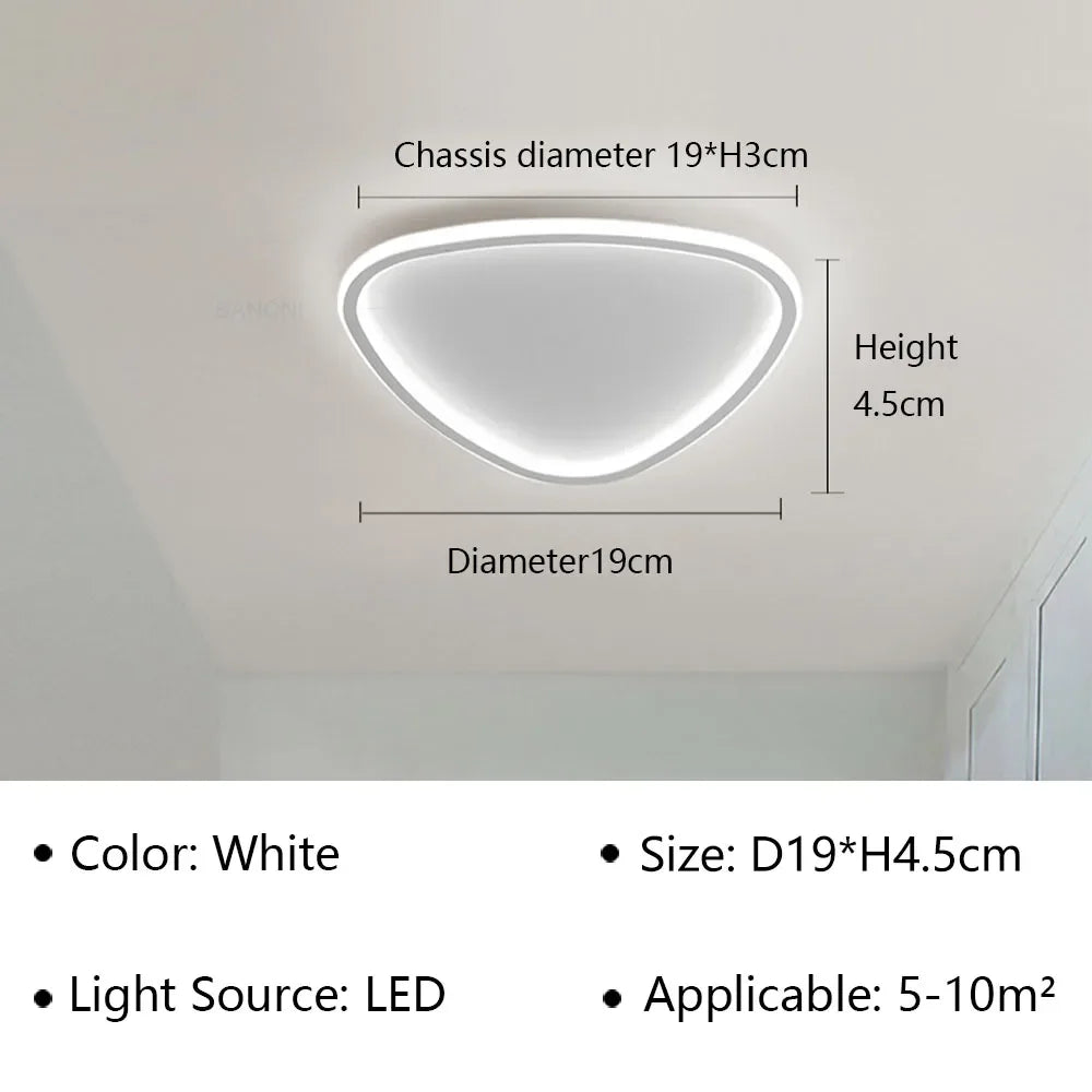 Stylish LED Ceiling Light - Sleek Oval Fixture