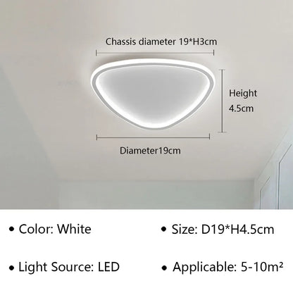 Stylish LED Ceiling Light - Sleek Oval Fixture