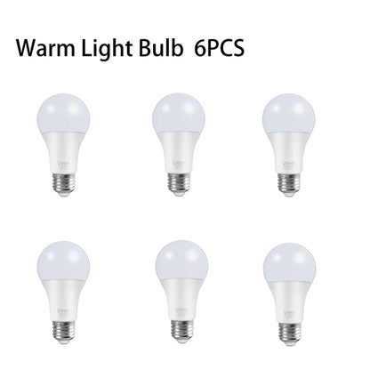 Stylish 6-Light LED Pendant Ceiling Lamp