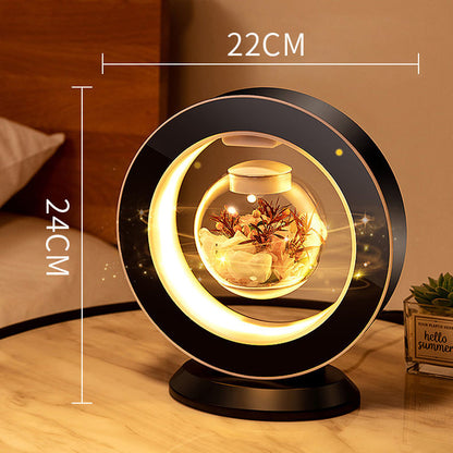 Floating LED Desk Lamp
