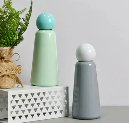 Insulated Stainless Steel Water Bottle