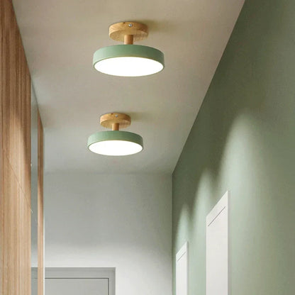 Elegant LED Ceiling Light Fixture