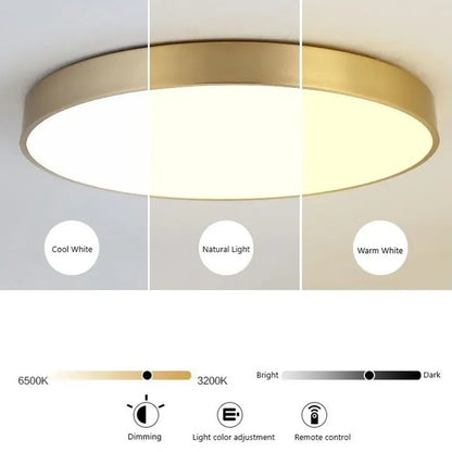 Stylish LED Hall Ceiling Lamp - Elegant Gold Round