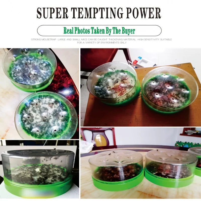 Natural Fly Catcher Trap Indoor Outdoor