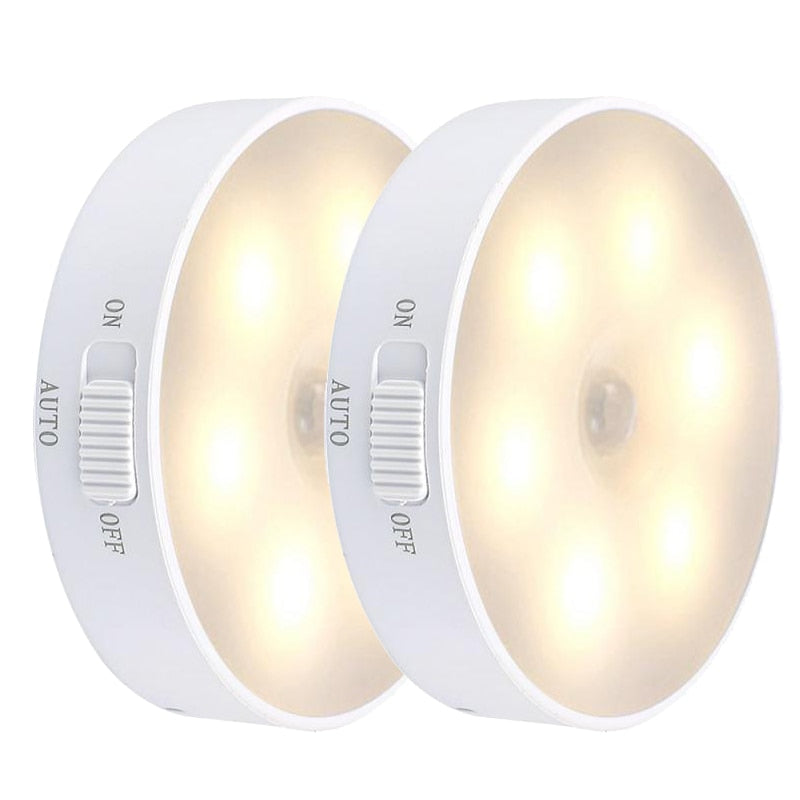 Compact Automatic LED Night Light