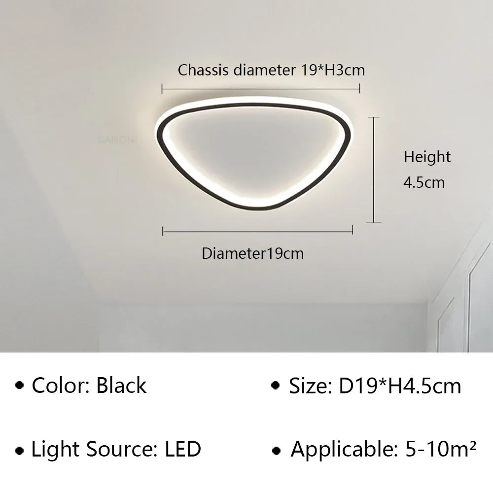 Stylish LED Ceiling Light - Sleek Oval Fixture