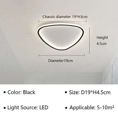 Stylish LED Ceiling Light - Sleek Oval Fixture