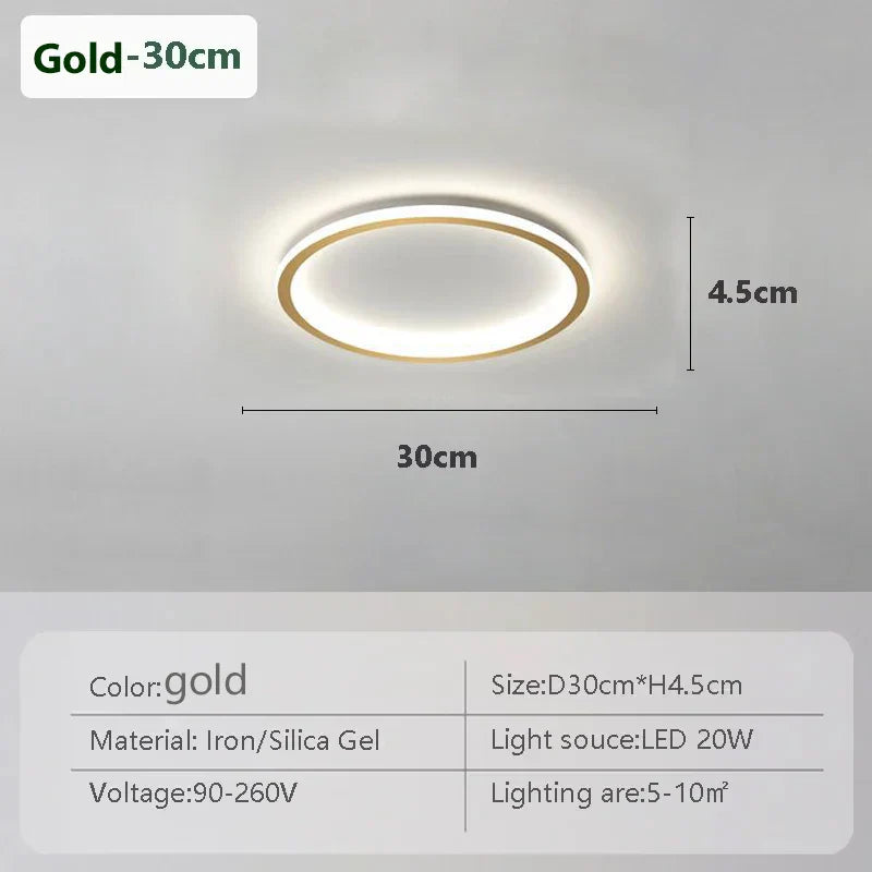 Stylish LED Ceiling Lamp Home Lighting