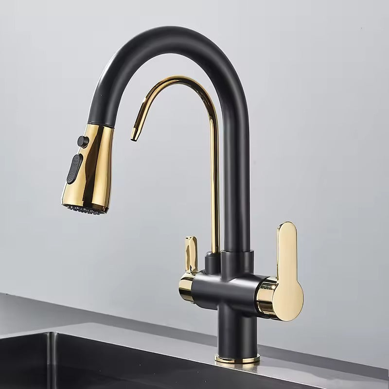 Black Kitchen Faucet with Pull-Out Spray and Filter