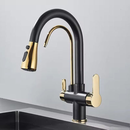 Black Kitchen Faucet with Pull-Out Spray and Filter