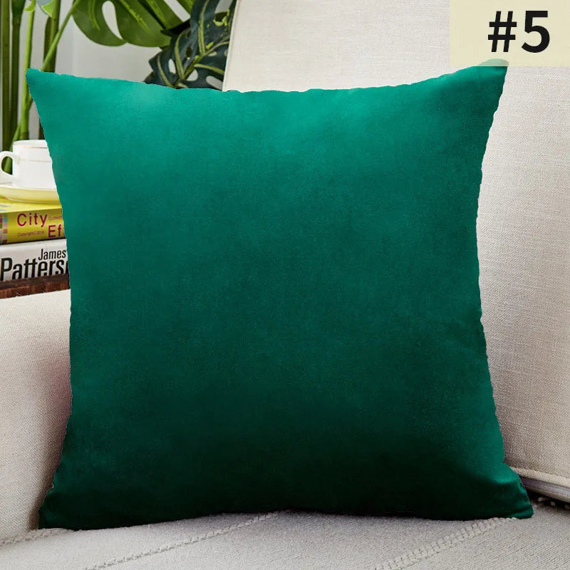 Soft Plush Pillow Cover for Home Decor