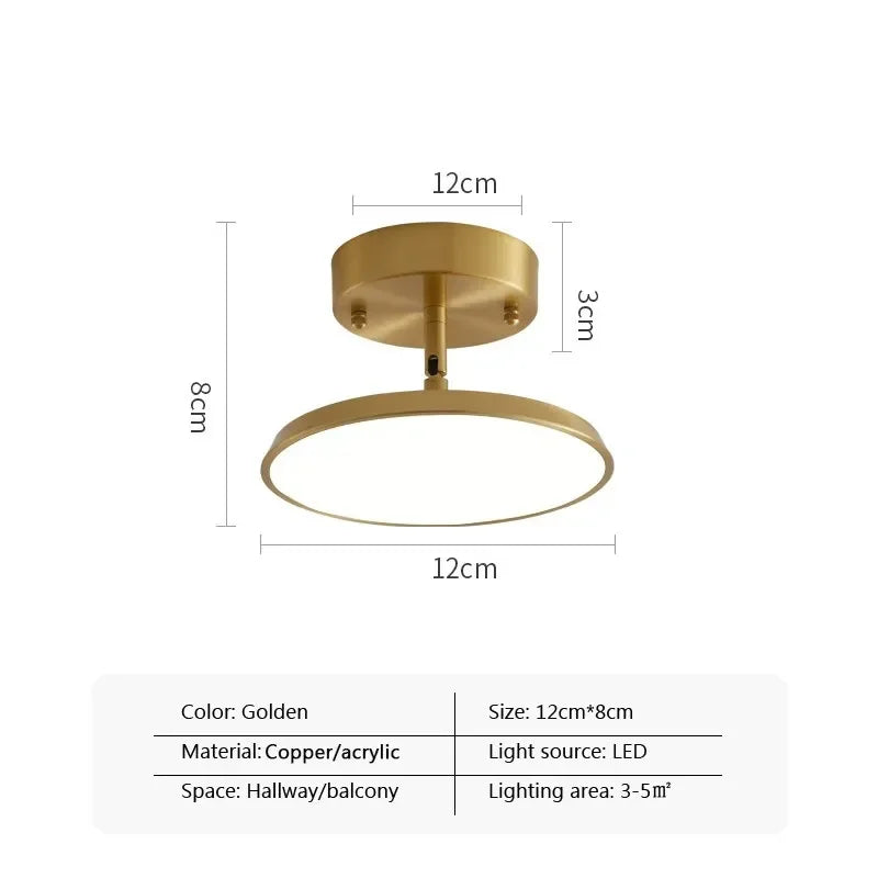 Simple Adjustable LED Ceiling Lamp