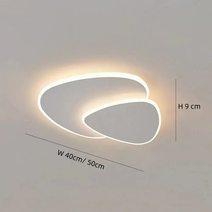 Bright Adjustable LED Ceiling Light Fixture