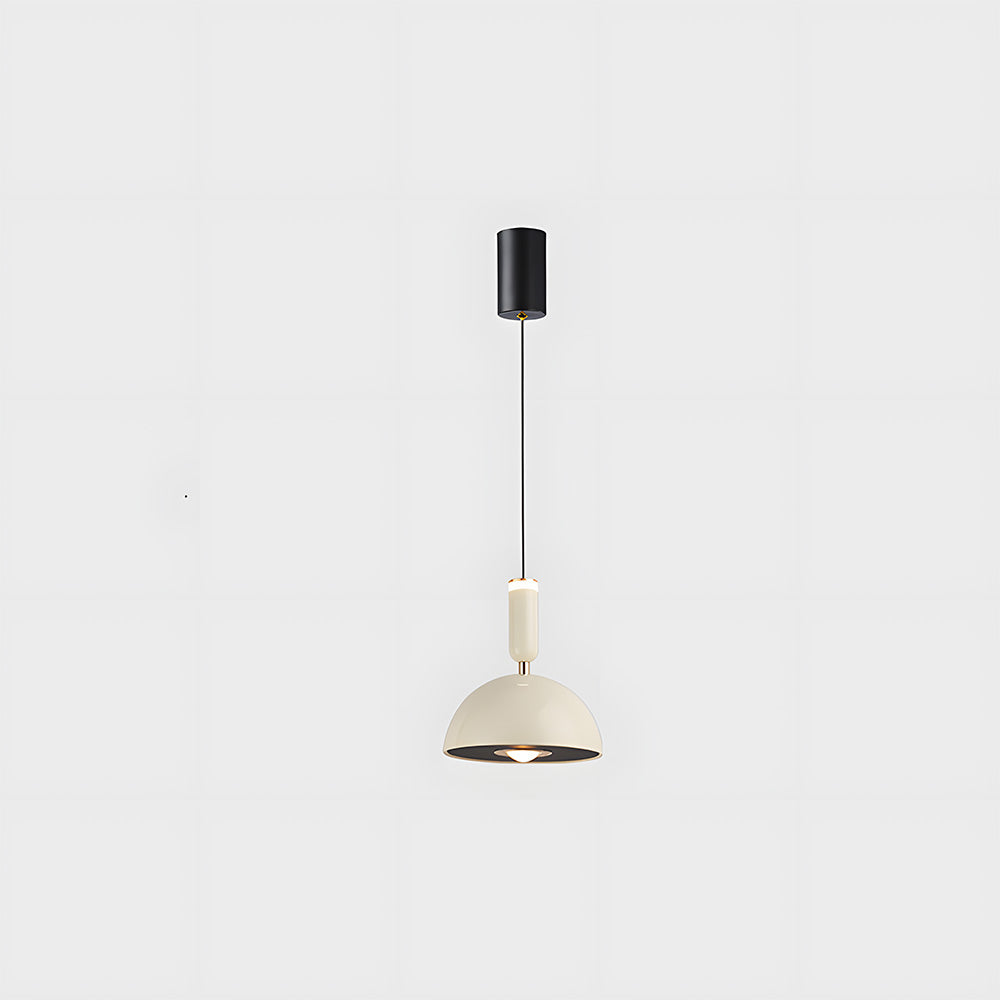 Classic Stylish Hanging LED Light
