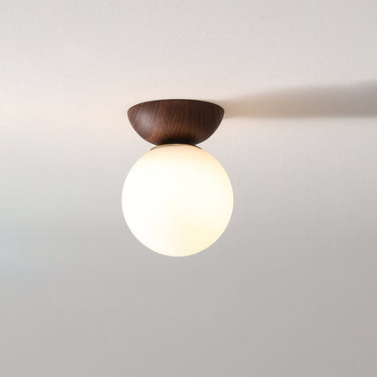Elegant Glass Metal Pendant Lamp Fixture