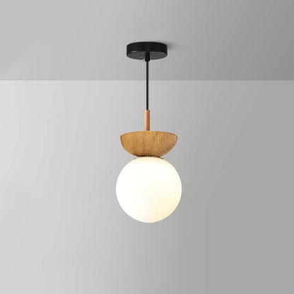 Elegant Glass Metal Pendant Lamp Fixture
