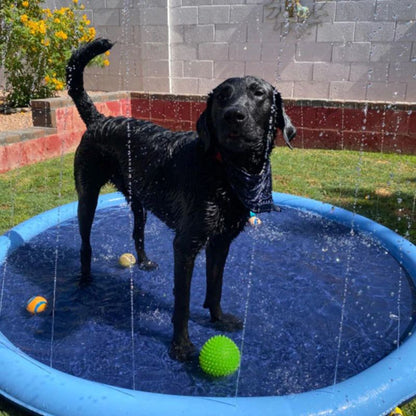 Fun Pet Water Play Mat - Cofik