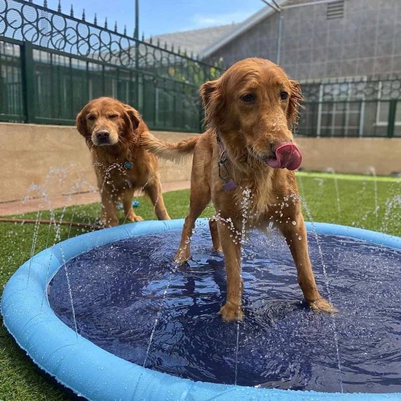 Fun Pet Water Play Mat
