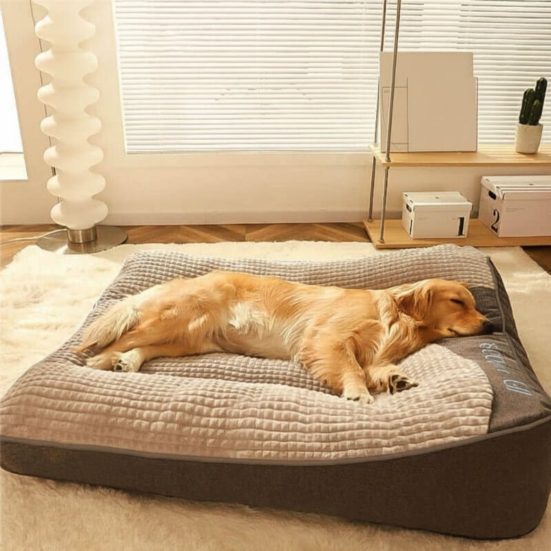 Comfortable Pet Bed with Extra Back Support - Cofik
