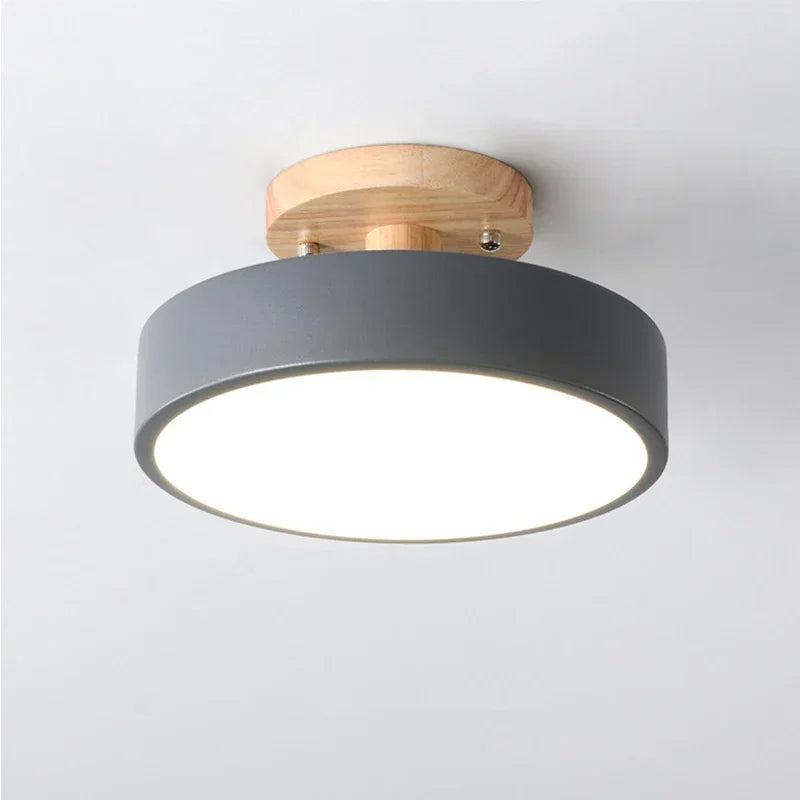 Contemporary LED Round Ceiling Light Fixture