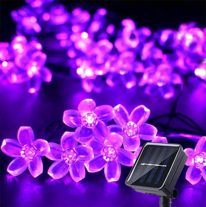 Outdoor Solar Fairy Lights 20-100 LEDs Warm White RGB