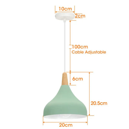 Vintage Metal Drop Ceiling Light