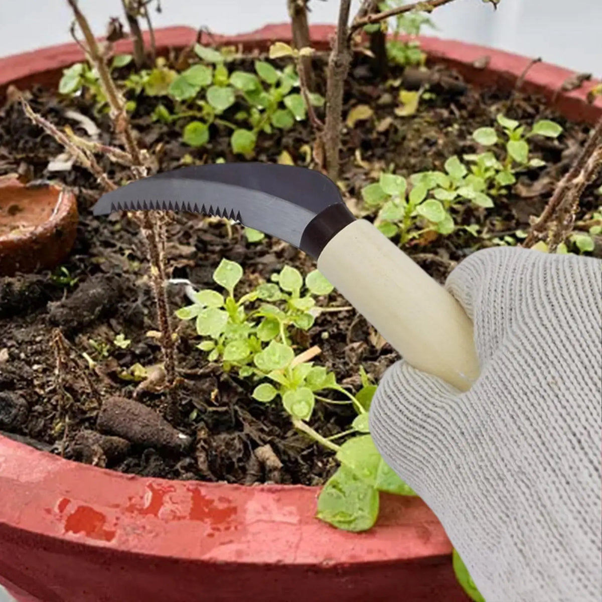 Sharp Gardening Knife | Durable Steel Blade | Comfort Grip Handle