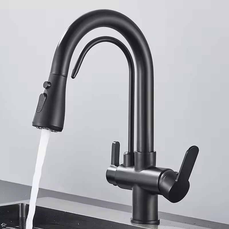 Black Kitchen Faucet with Pull-Out Spray and Filter