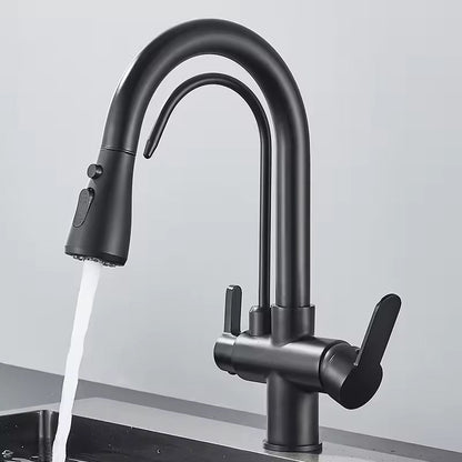 Black Kitchen Faucet with Pull-Out Spray and Filter