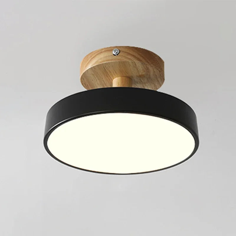 Elegant LED Ceiling Light Fixture