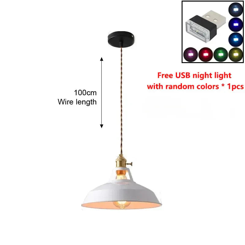 Rustic Metal LED Pendant Light Fixture