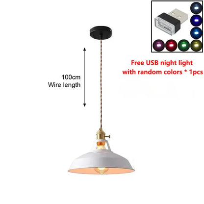 Rustic Metal LED Pendant Light Fixture