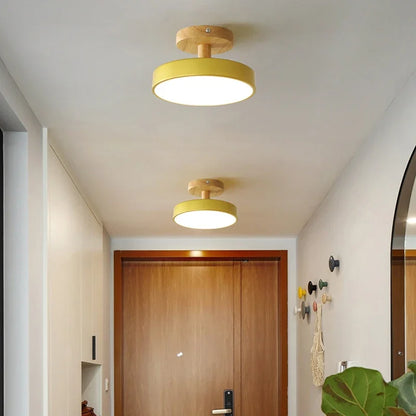Elegant LED Ceiling Light Fixture