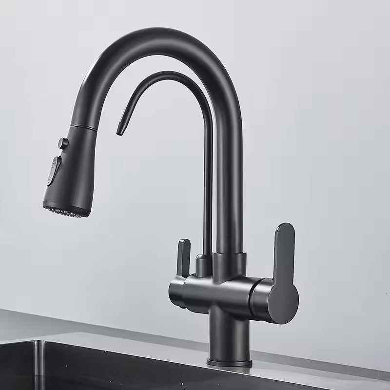 Black Kitchen Faucet with Pull-Out Spray and Filter