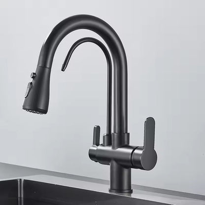 Black Kitchen Faucet with Pull-Out Spray and Filter