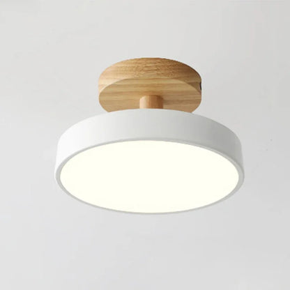 Elegant LED Ceiling Light Fixture