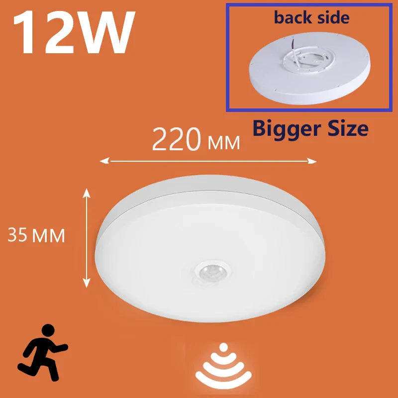 Bright Automatic Motion Sensor Ceiling Light