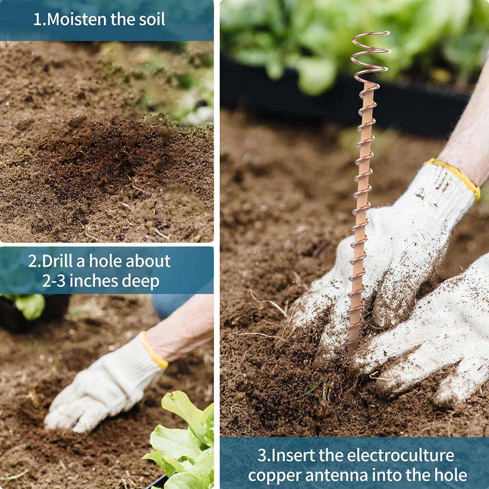Natural Copper Plant Growth Boosters for Indoor Gardens