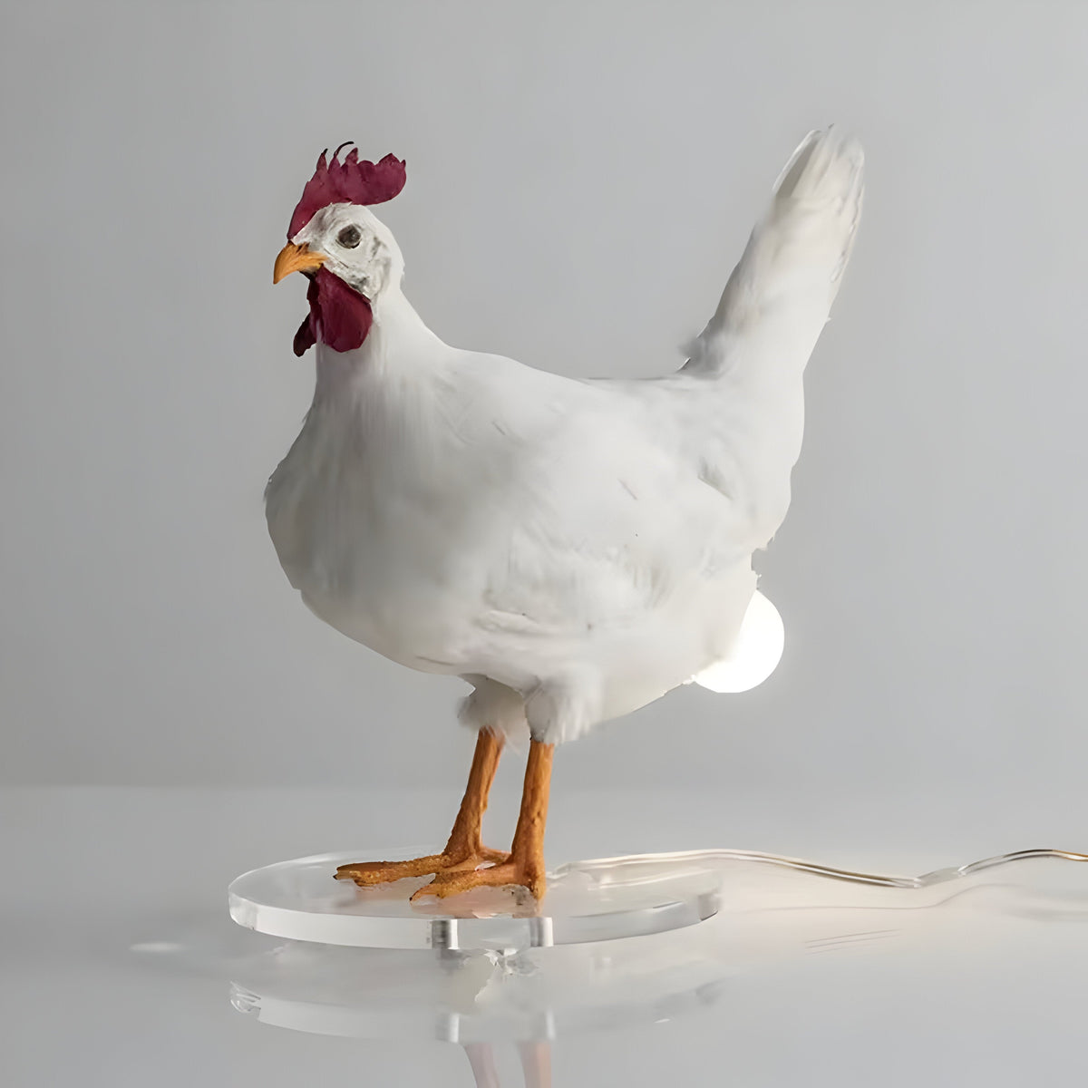 Colorful Chicken LED Nightlight