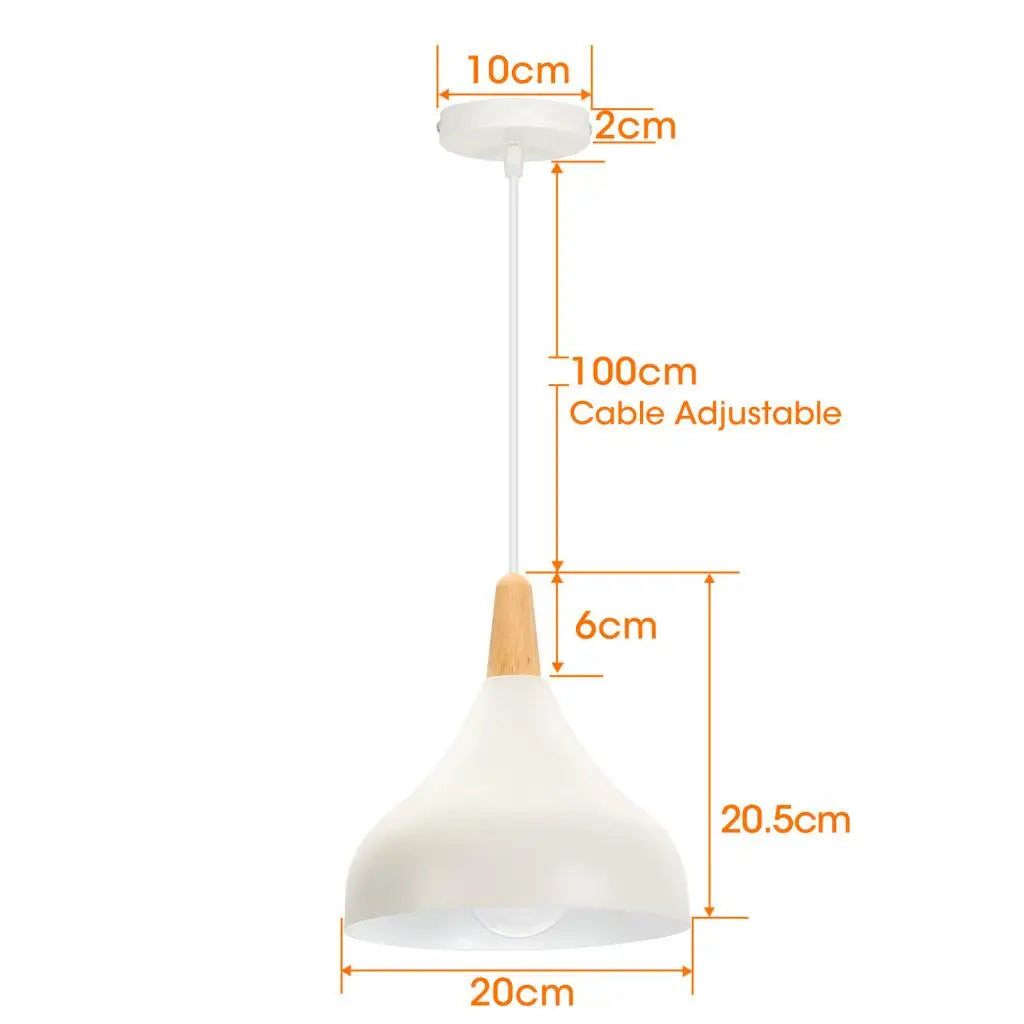 Vintage Metal Drop Ceiling Light